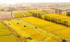 蔬菜農(nóng)藥殘留檢測(cè)儀怎么樣？