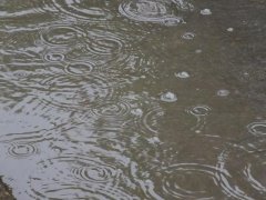 雨量監(jiān)測儀，提供雨量原始數(shù)據(jù)