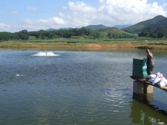 水產(chǎn)養(yǎng)殖檢測儀，為水產(chǎn)提供優(yōu)良的生長環(huán)境