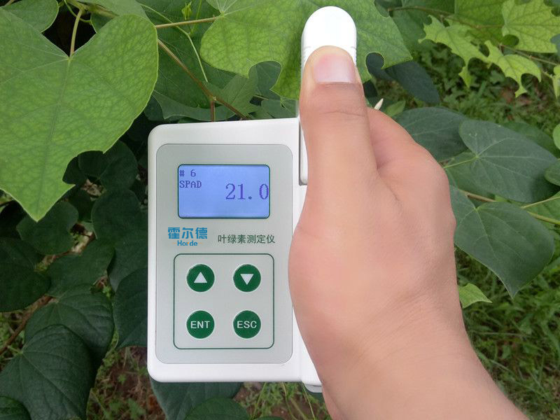 葉綠素含量測(cè)量?jī)x，可用于植物施肥的依據(jù)